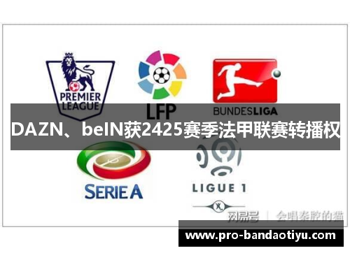 DAZN、beIN获2425赛季法甲联赛转播权